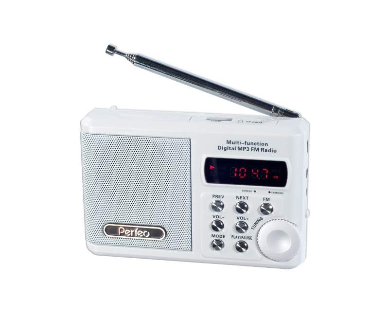 FM/  / MP3   Perfeo ''Sound Ranger'',  