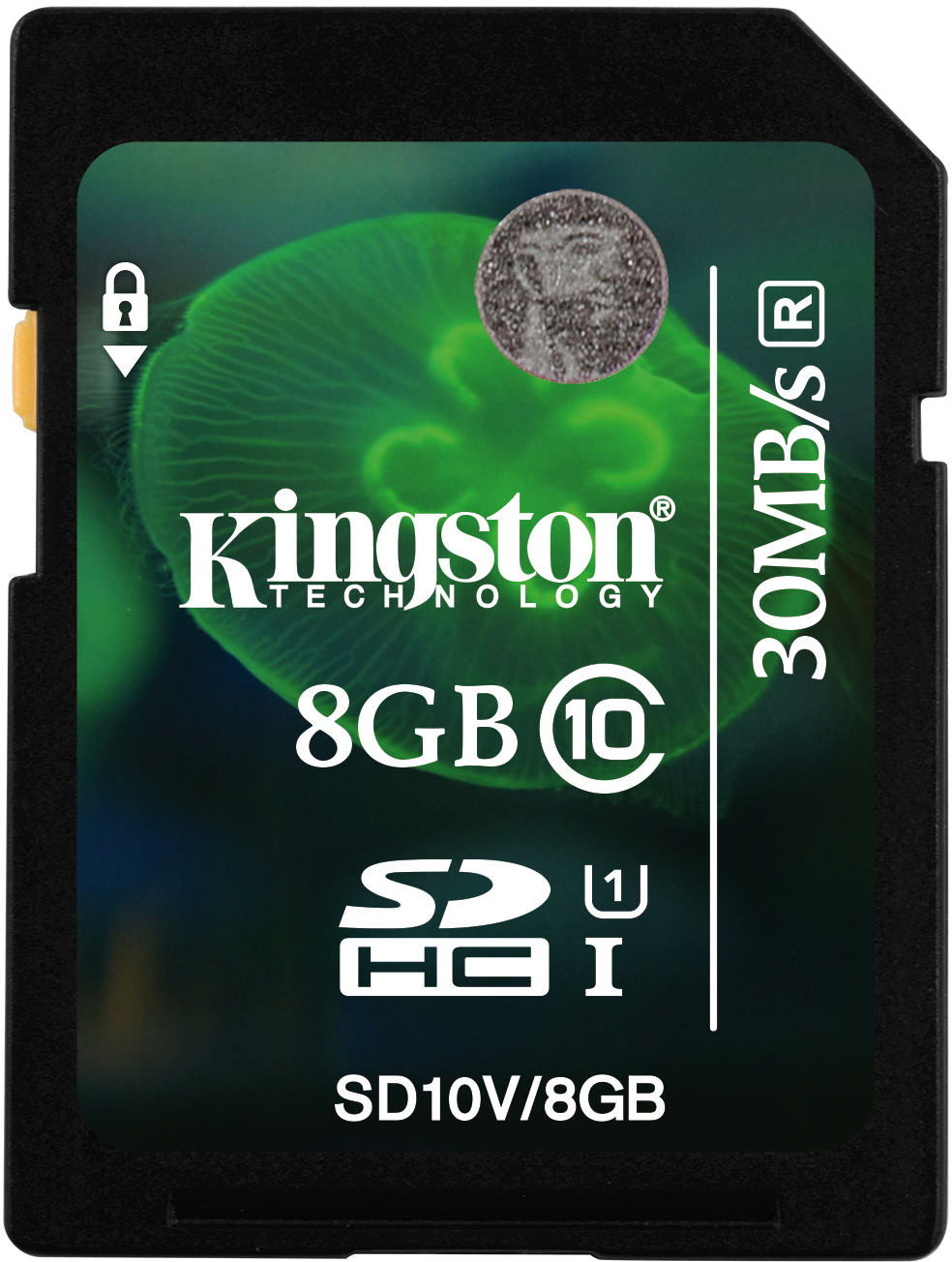 Карта памяти SDHC / Secure Digital High Capacity 8 Гб Kingston Сlass 10 UHS 1 Карта памяти SDHC / Secure Digital High Capacity 8 Гб Kingston Сlass 10 UHS 1