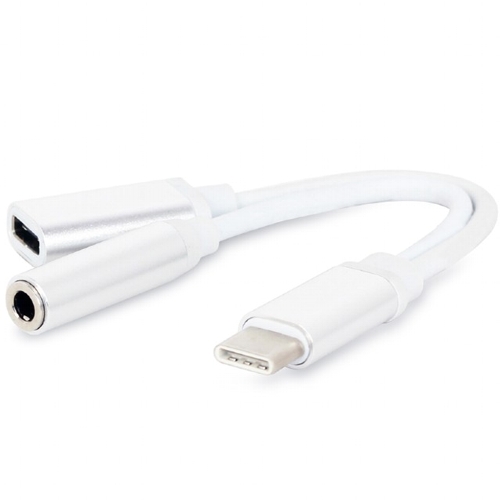  USB 3.1 Type C -   3.5   