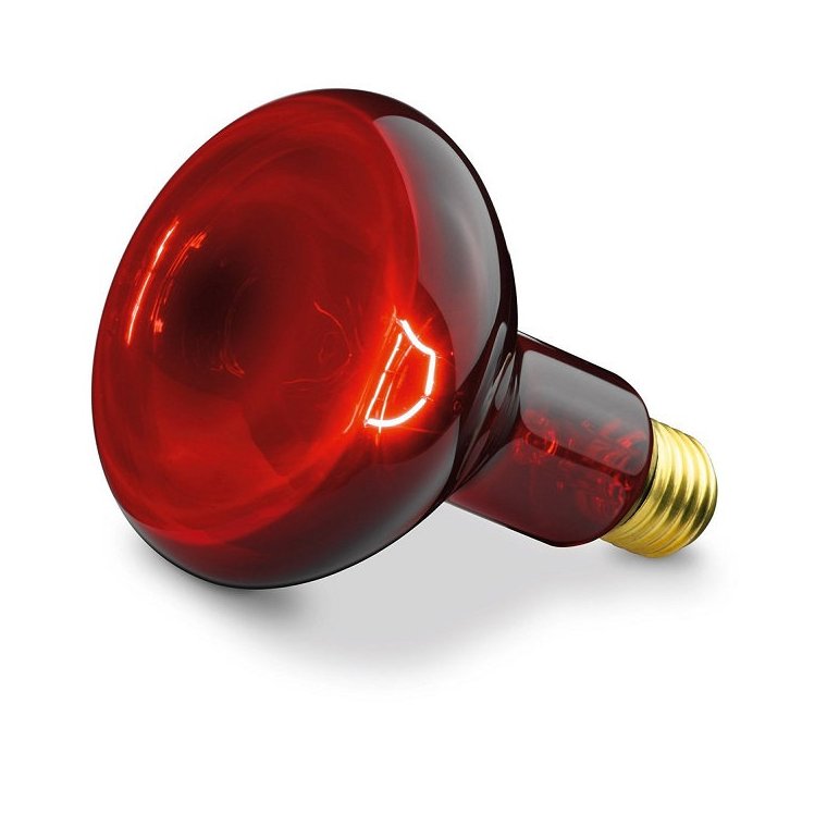 Лампа инфракрасная (термоизлучатель) ИКЗК R63 100W 230В E27